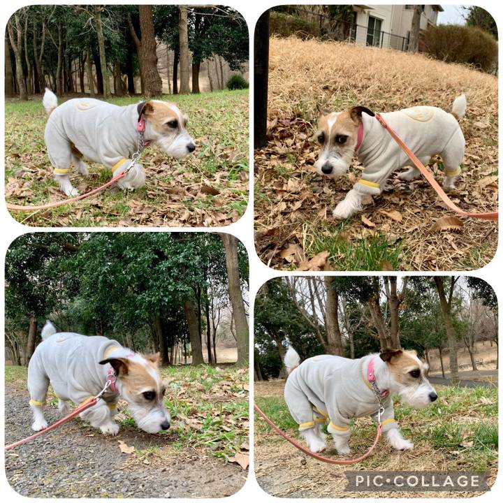 4c671517 248d 4ba1 a02f e519cf2c8e5b 1613549138629