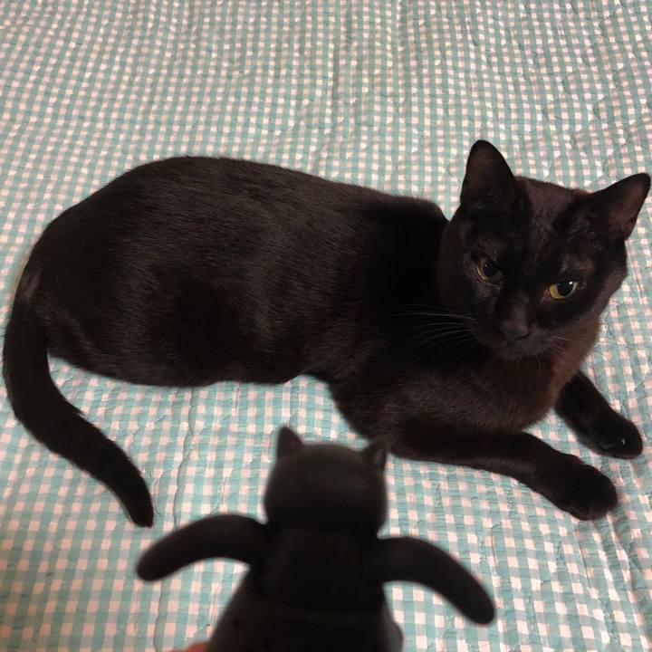 4c67422d ee76 4fef bdc2 563f797bf072 1740750799714