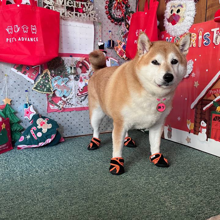 4c675311 4ea4 4f6b af2f 50f3b2a3df15 1702089617942