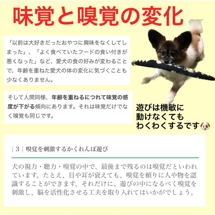 4c680861 9c45 4d4c 9f57 bd41b1e57e2c 1552034277188