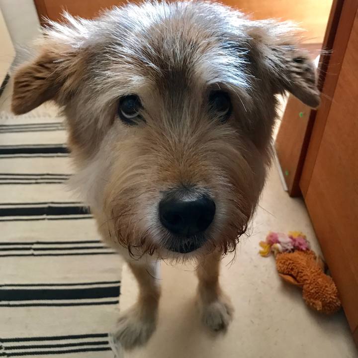 4c681259 2cf7 401c b126 36bfacdc3527 1601949391696