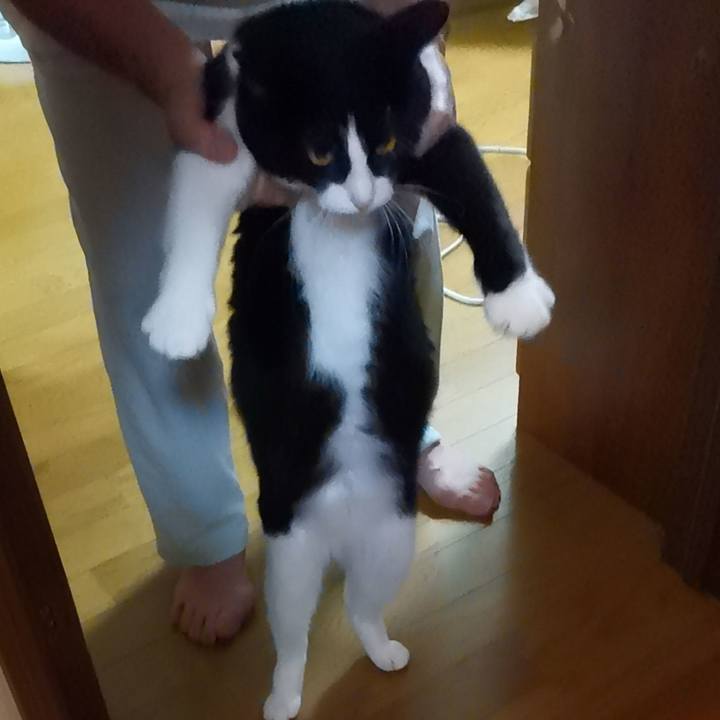 4c6839a2 1485 4f30 ae3a c6a89259b2b4 1601476182590