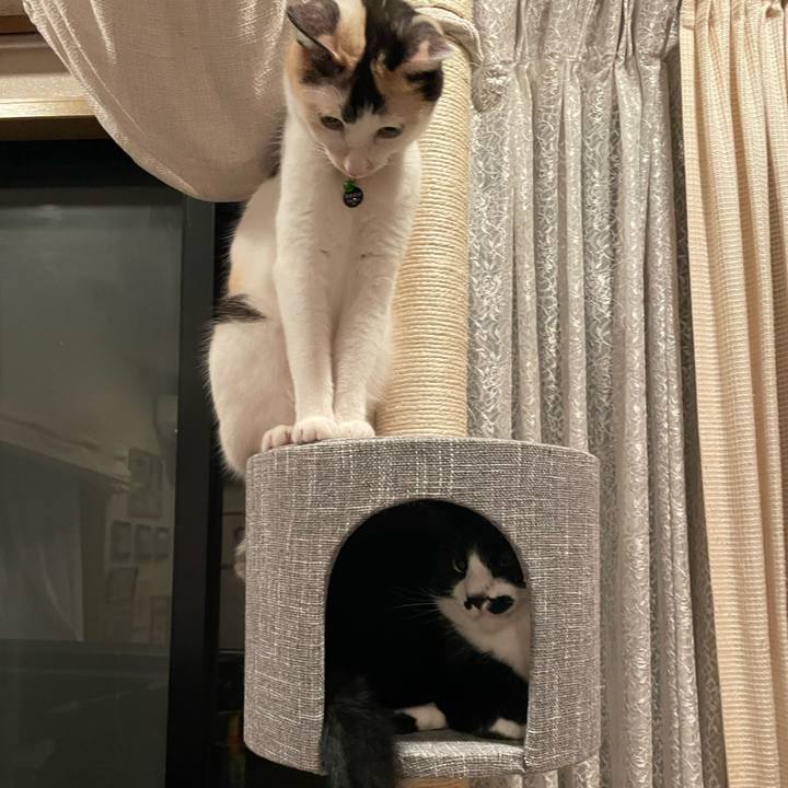 4c683f7a 88de 46f8 93ef f28d6795b6b7 1724598120488