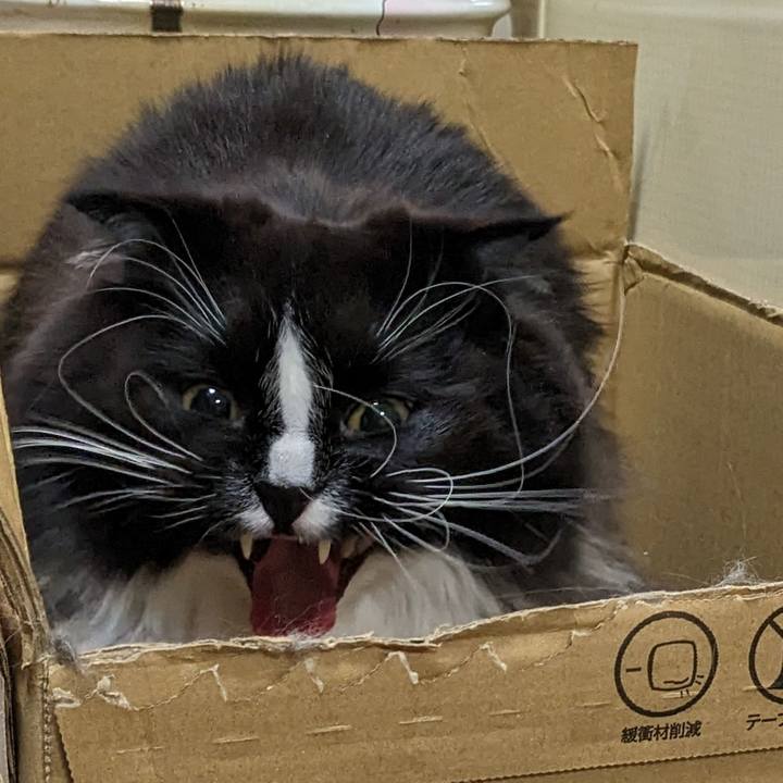 4c6885ff 767b 4fad a872 52d51b430aad 1676955128733