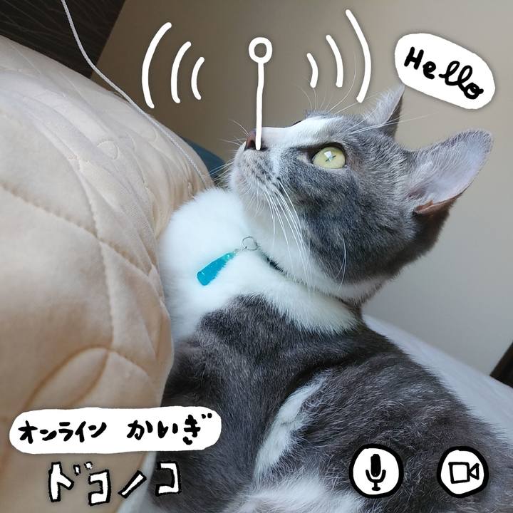 4c688c1f 14fe 411f a5e7 b51cf80c66a1 1590711308564