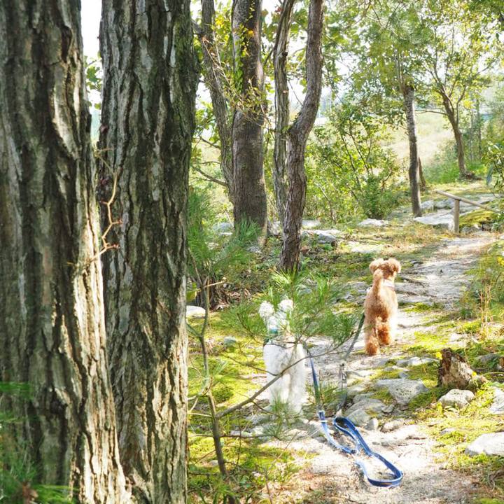 4c68919d f6ef 42ff a1a4 404e9c189eaa 1541028097540