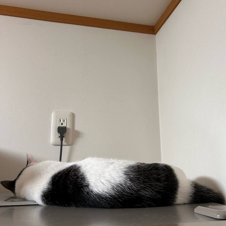 4c68a9a6 1fbd 4fb9 a512 6b245bf73fbc 1724930282844