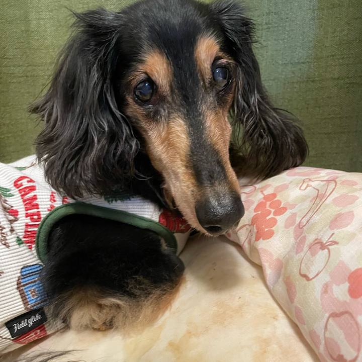 4c68f26d a3b7 4b22 b0e9 77c31f325ff0 1699794566475