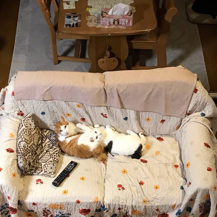 4c6919a7 d71c 468e b884 b2c70b72956b 1591532323173