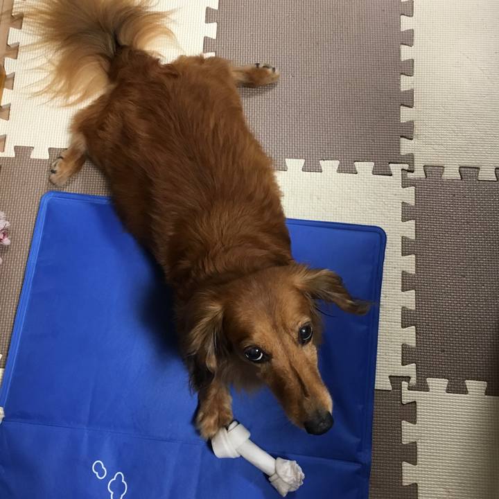 4c695ce3 3779 486d afcb 7df60aba2bc6 1564145544155