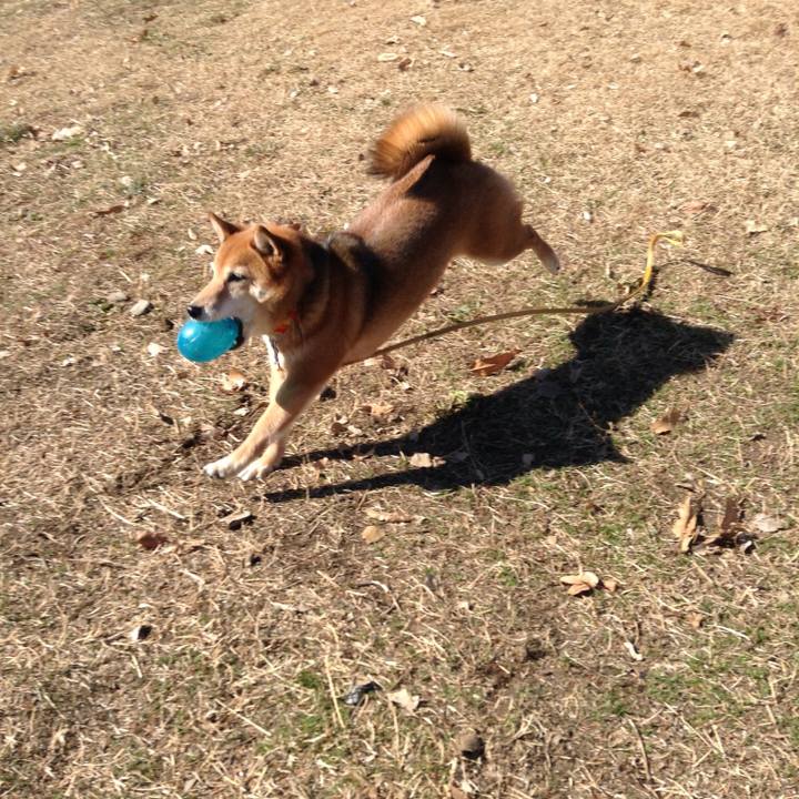 4c696588 8ebd 4611 8bbe 2d3f071f524c 1515731893157