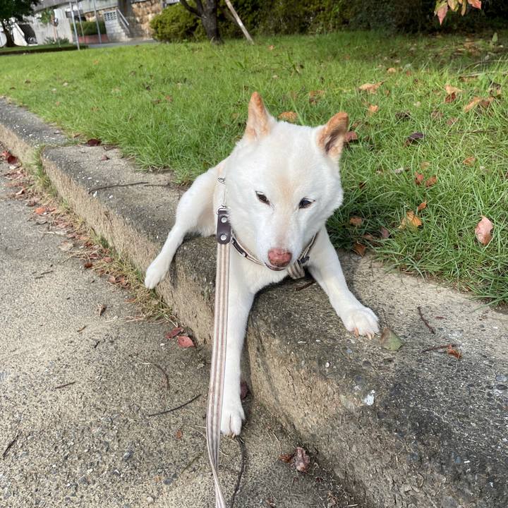 4c6977e2 55c9 4682 92bf 010d61ab598b 1634868448154