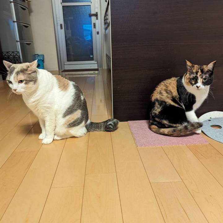 4c698ce8 c0f7 43f6 9dc1 79952b511265 1707365691740