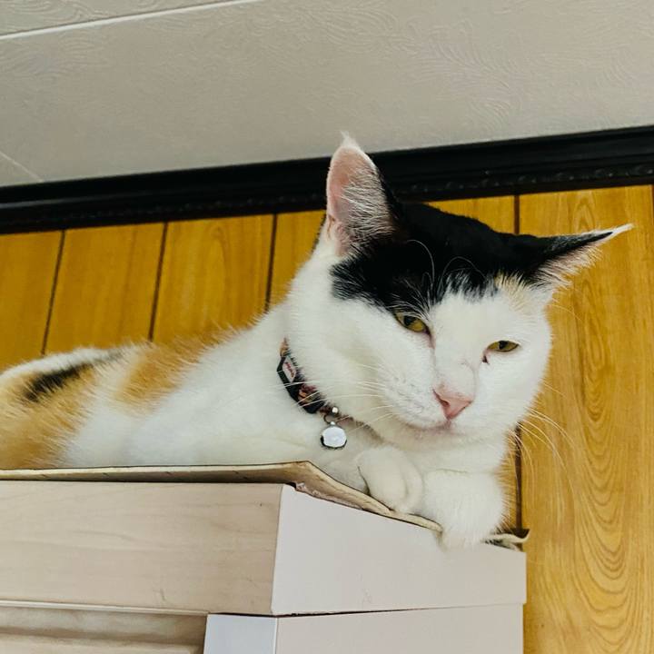 4c69a41b 25db 4a43 be5d 6010912b7fe0 1657410676417