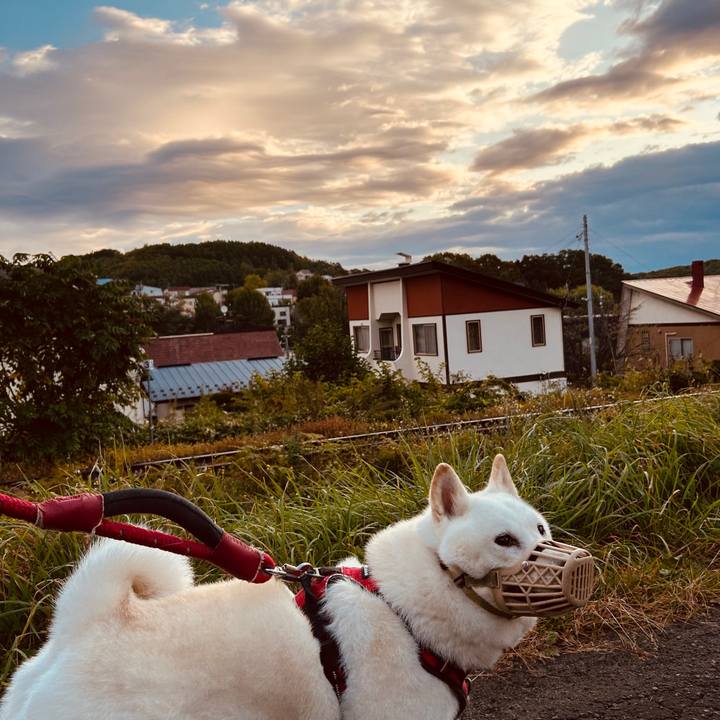 4c69e47a fe76 440c a8d9 e0e10d7f9a8c 1759875447390