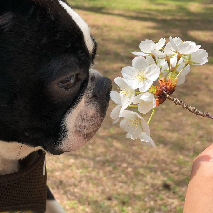 4c6a3fa0 0776 465e 8ee0 4125bfcbb781 1522300982976