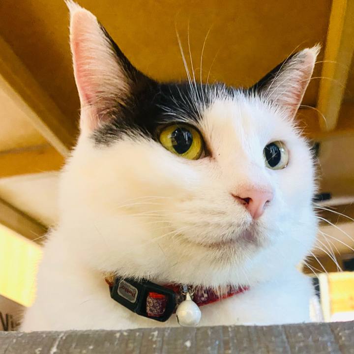 4c6a6bf3 101e 4a5b 84d3 1efc14ce1f5b 1685886938737