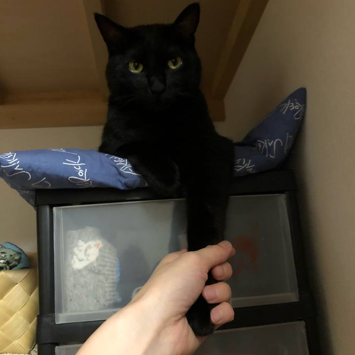 4c6a8ba2 5080 482c 90a7 163c87b1b0b1 1563193282695