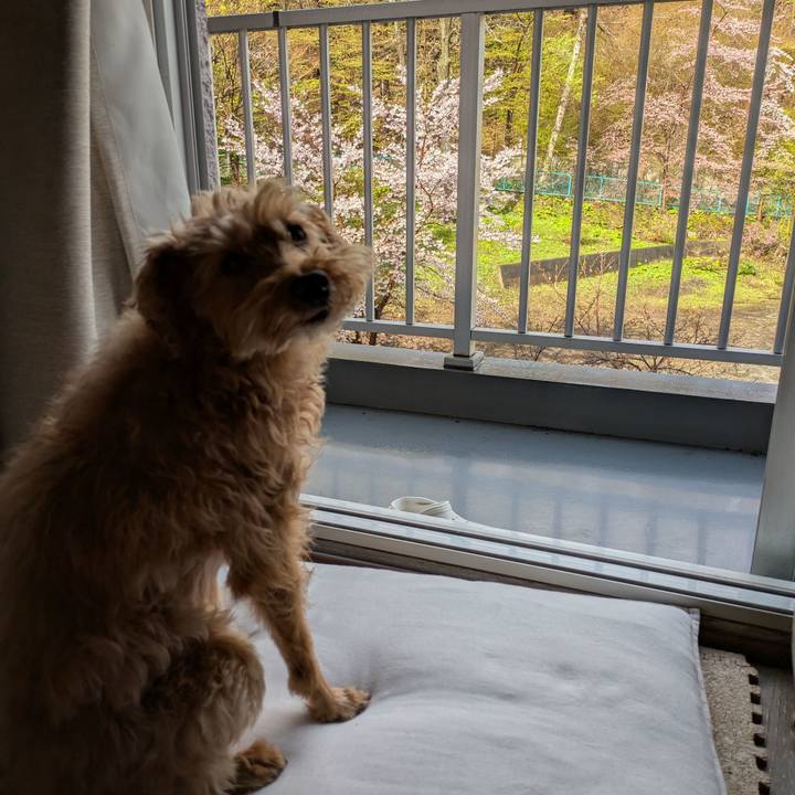 4c6a8bbf 86a9 4c59 b694 292750a6f00f 1746224334401