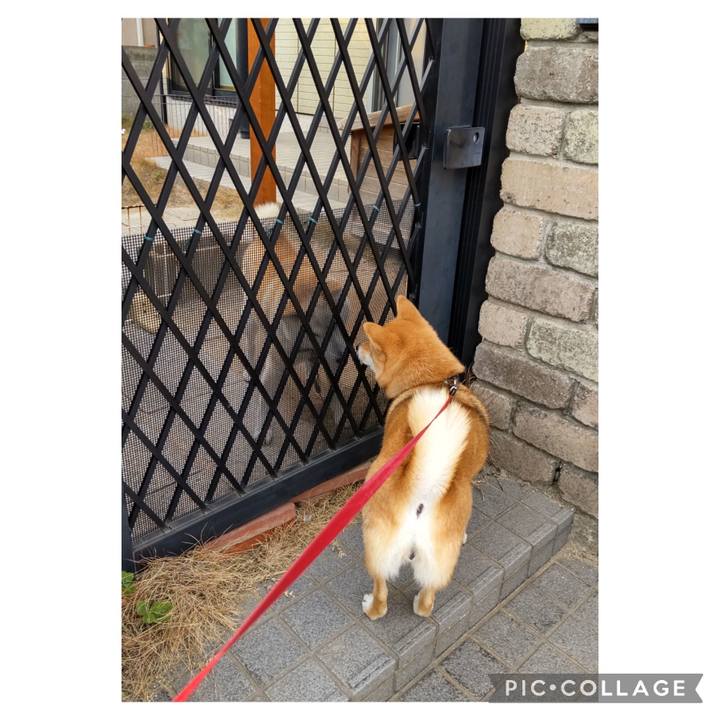 4c6a8e62 06a2 403a bed0 ce6fb5d4ecf4 1672990633427