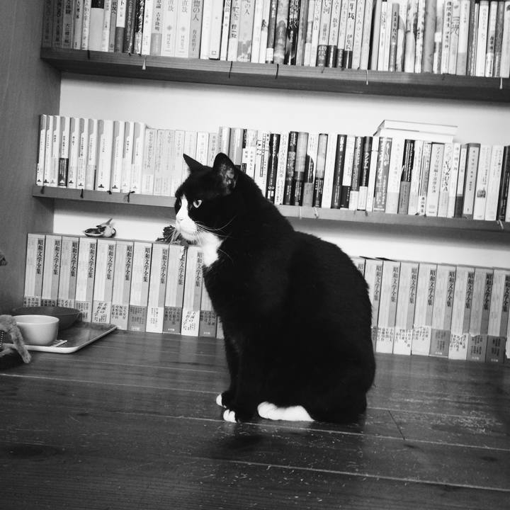 4c6af38d f454 4d9a b2df 657006e39a6b 1529590405579