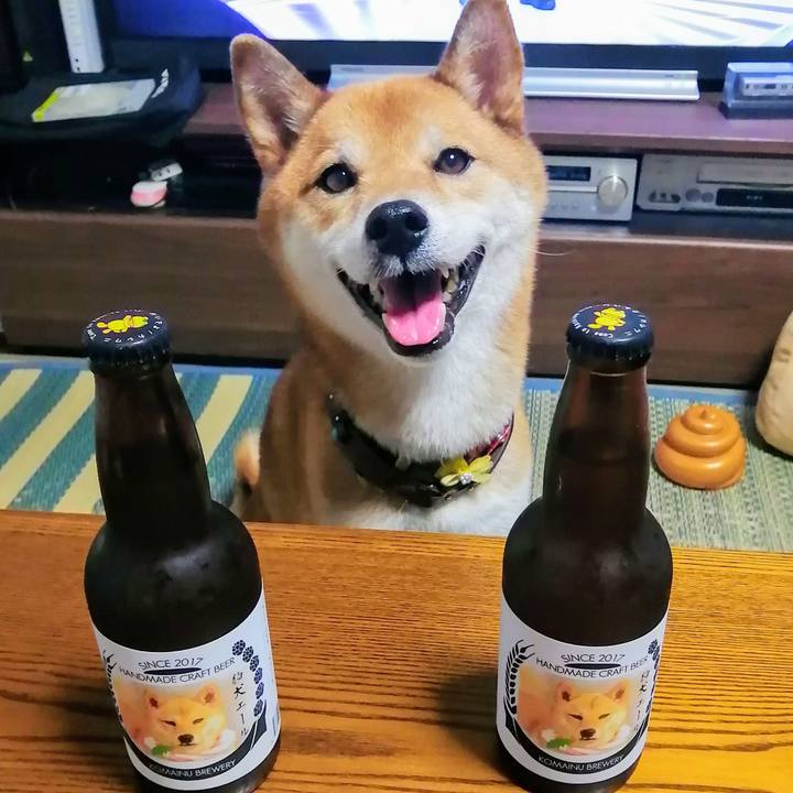 4c6b002a 5cd7 4b47 a33b b5ddaae038d2 1598783618216