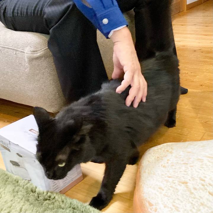 4c6b0361 fb1f 456c 8ac8 da970db211df 1761128617368