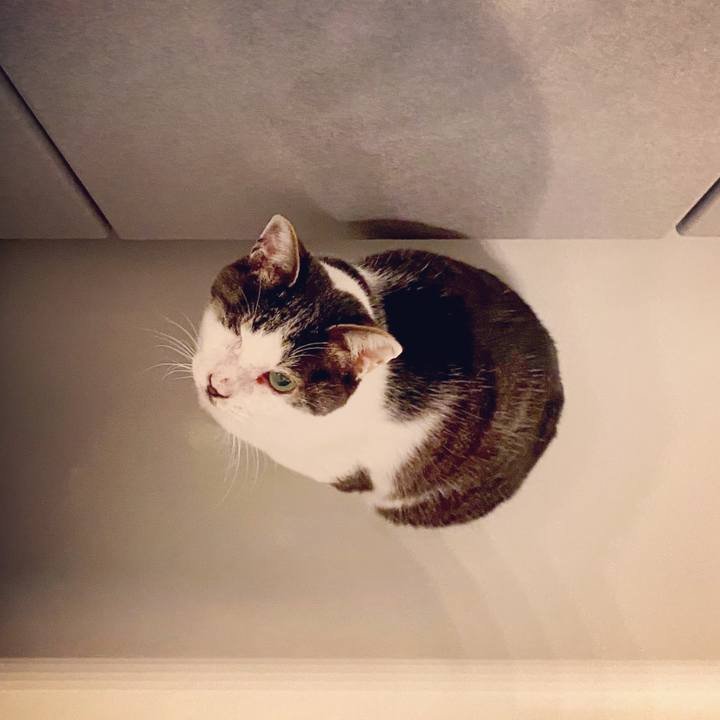 4c6b1e1e 9d0c 4518 b4c8 65b60c513f4e 1584366873369