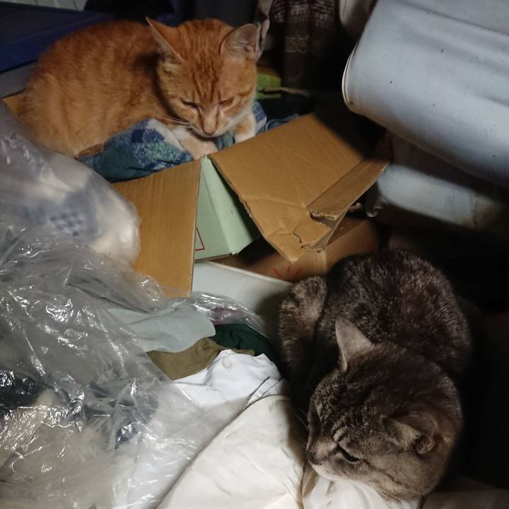 4c6b32c1 8c89 42c9 87db df558cf9f6c8 1560171652323