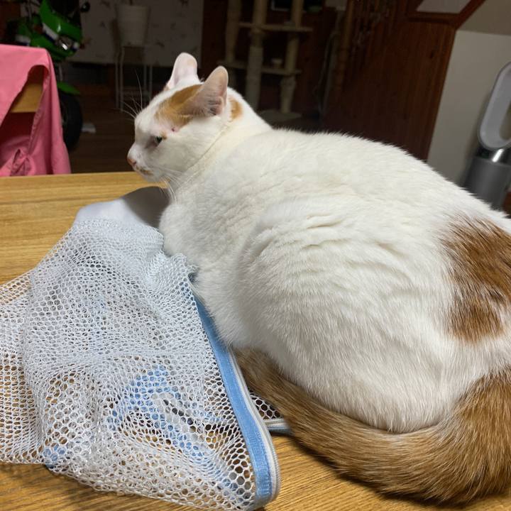 4c6b59db d69f 4126 a036 d12112b648b6 1668086966419