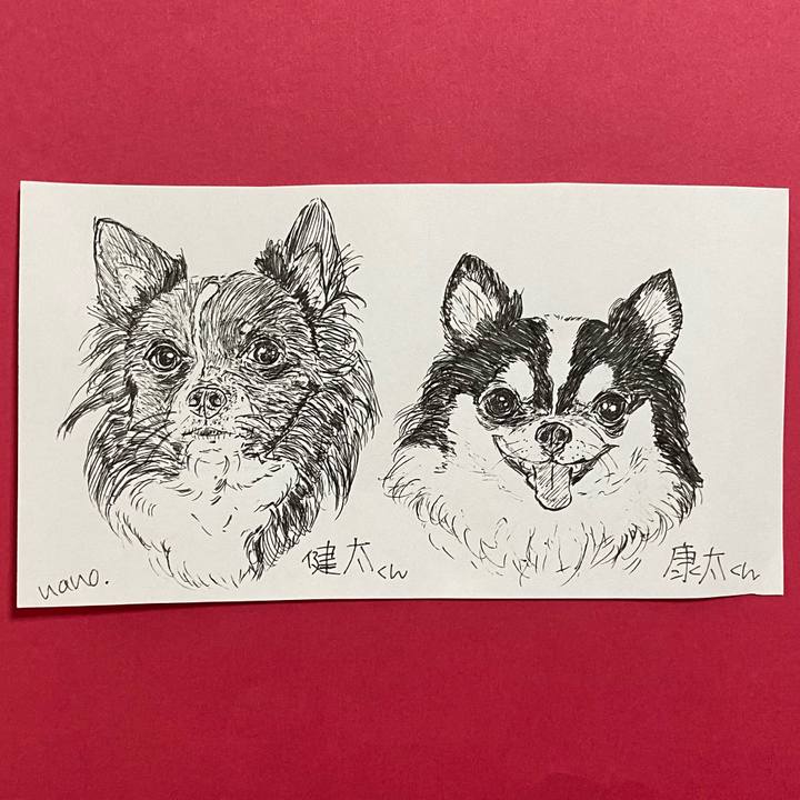 4c6b6f03 6a9d 4536 994b 55904c3bdcc6 1633936933851