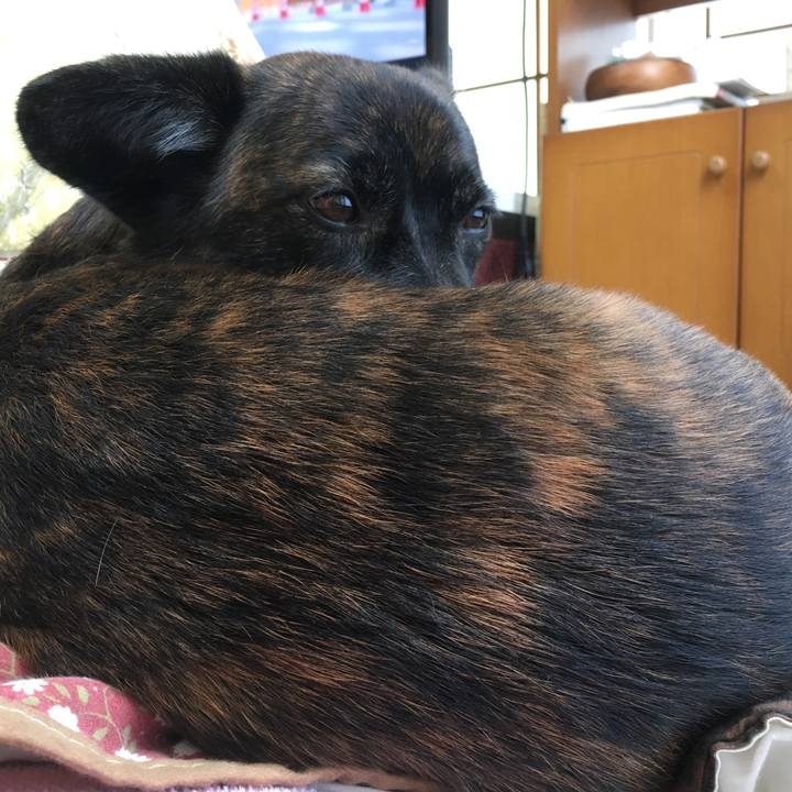 4c6bf48a c30b 4d87 9668 66066d06fca0 1511823278274