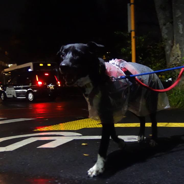 4c6c1042 429d 45db 919b 04e0c1067649 1600943151066