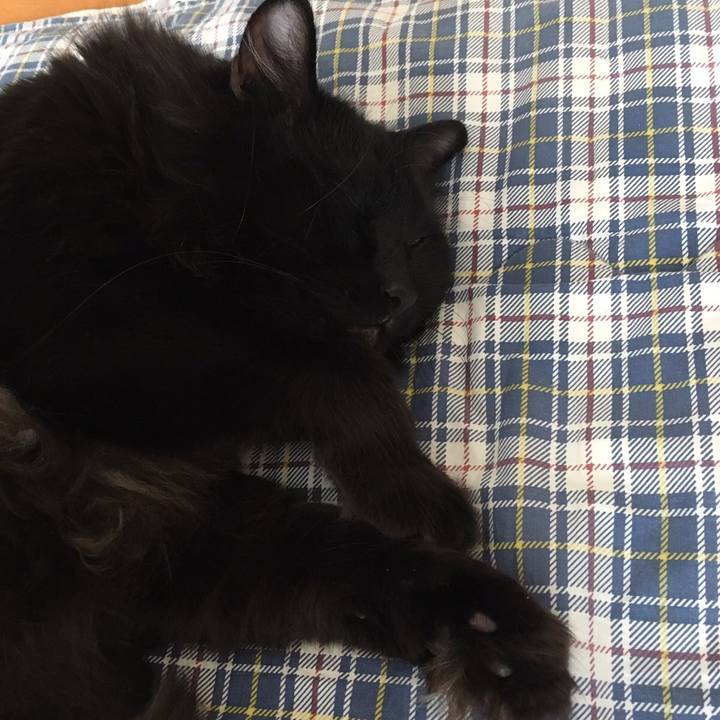 4c6c131e e2ff 4728 a88e 682d4fbe1b9e 1511327557881