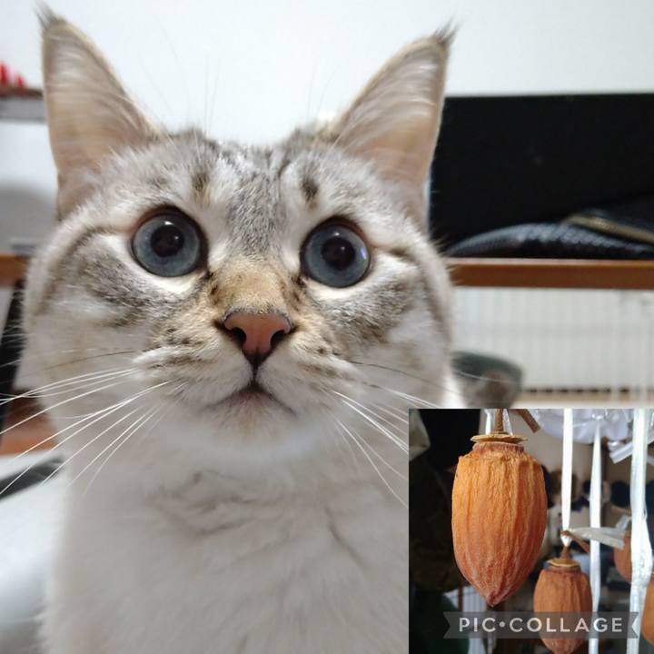 4c6c1b7f 5868 4adf 978b cafd92a32743 1668956898274