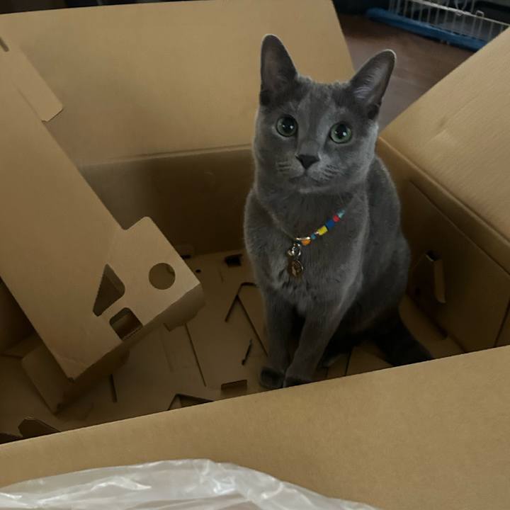 4c6c63e0 255d 4f99 af3e 5b72624a6fce 1698191718715