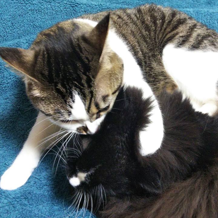 4c6ccdb2 e4d0 4633 b2a4 ebc2a8abeb49 1665547789313