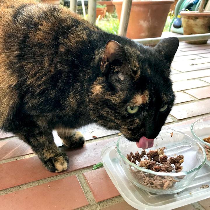 4c6cf68d fe0b 4c41 bb3e 6286a5b488ac 1548472706249