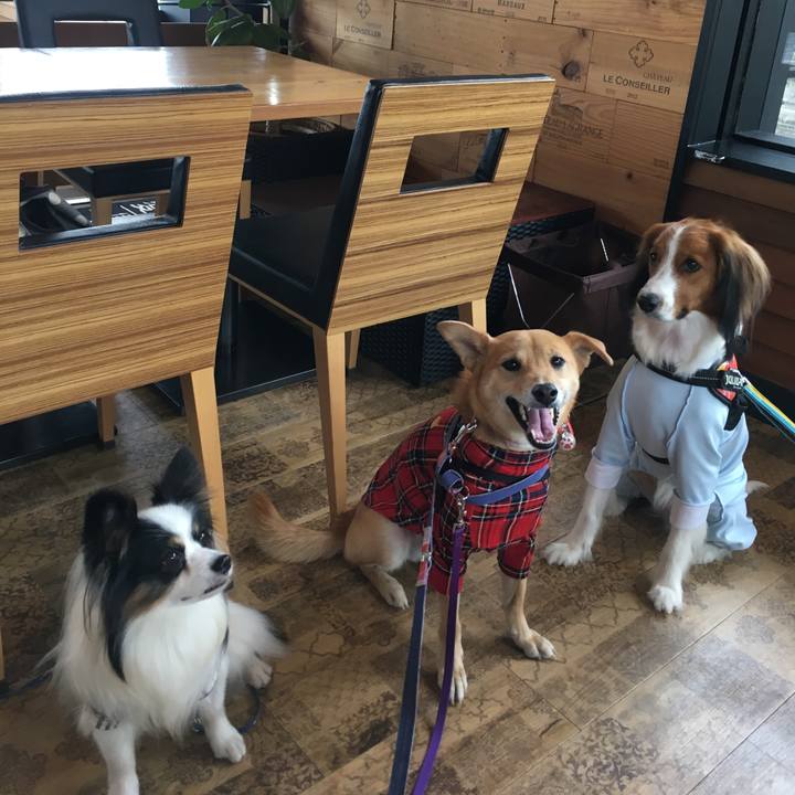 4c6d073a 7e95 4412 beb8 4999be190d74 1544518298097