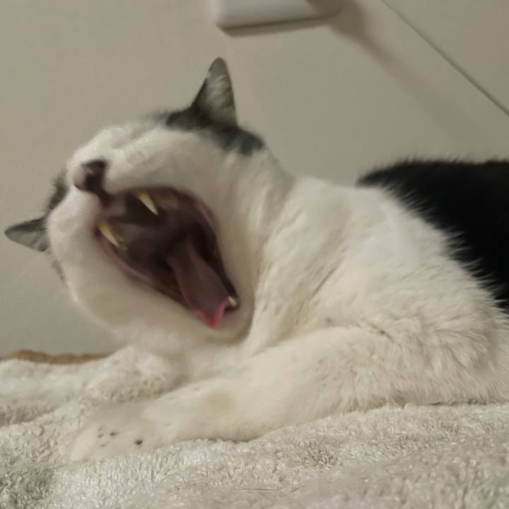 4c6d40e9 0f67 47a8 9188 4688a2af74ed 1670748105511