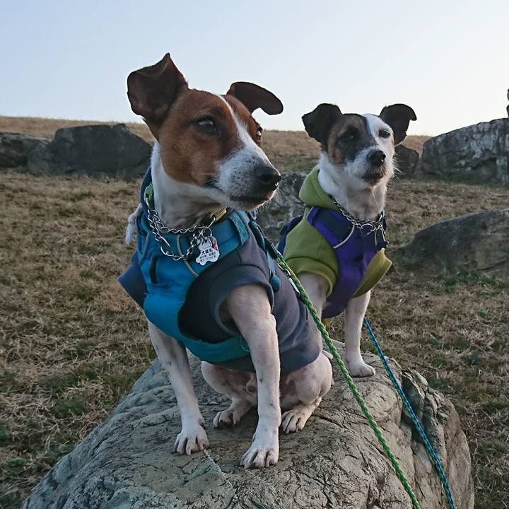 4c6d9494 b1ef 4cdc 8c65 59ca83752594 1613812066003