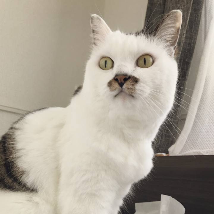 4c6da3d5 11d4 475f 9fb6 c7ea2a9eee6f 1565761009037