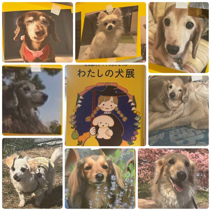 4c6db690 0609 4843 a9df f5baab6e9fcf 1774858488451