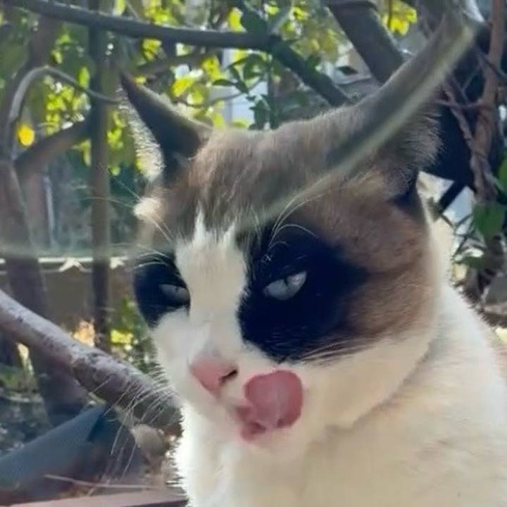 4c6dc062 7bb0 4f83 8e33 6733f1ab8310 1770606301718