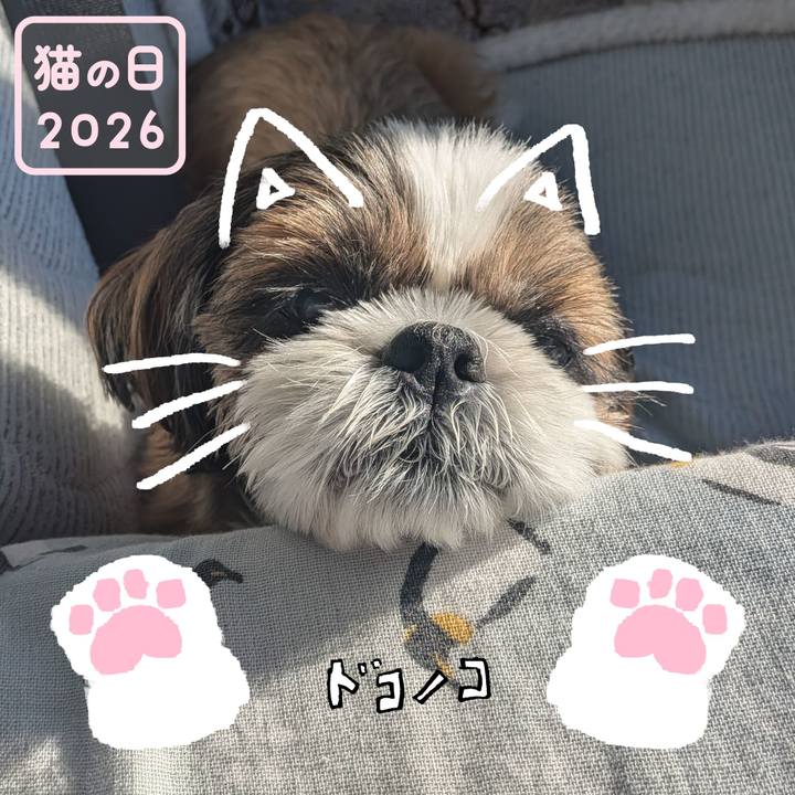 4c6dc7fa 7254 442b 9b53 155fbd04534e 1771730889538