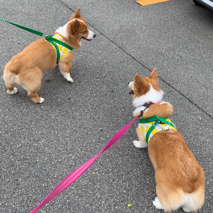 4c6de756 4c1e 4cab ac15 22e27371ea58 1568973677361