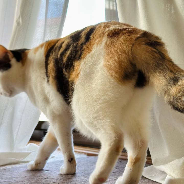 4c6e24d4 992e 4e37 bad5 1b3e942041af 1667179505400