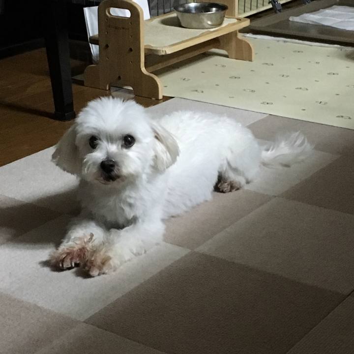 4c6e574c c9f5 4b23 865d 90d6b44df4cb 1599660708585