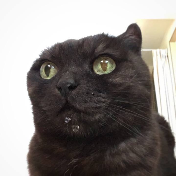 4c6ec8ab 66bb 499b ab1a 3e0cf38b1d91 1525485438853