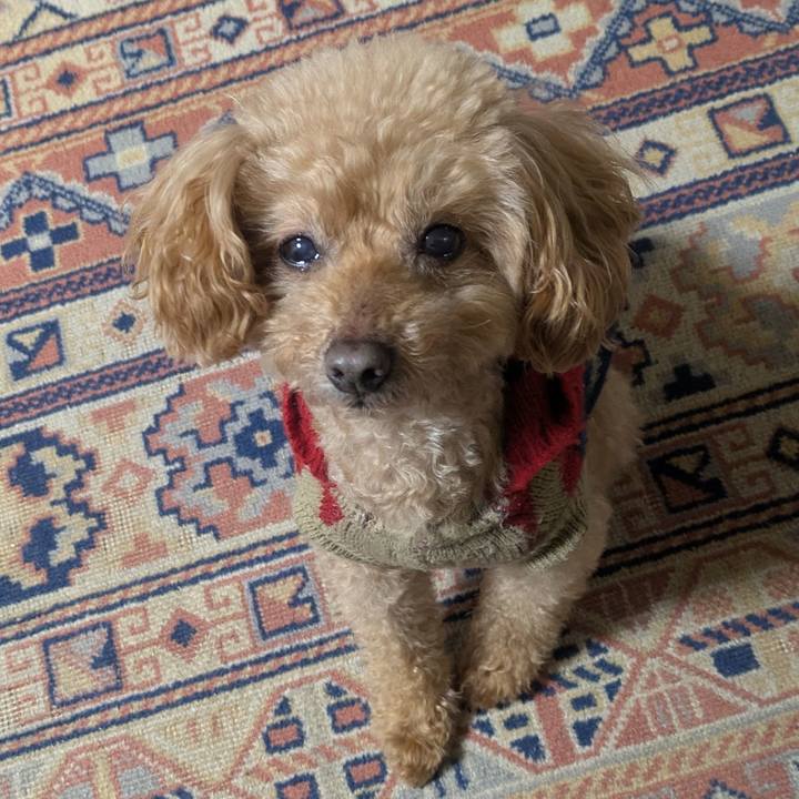 4c6ecea4 326c 44e9 8842 2a179846d459 1767171305236